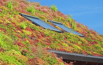 Rodmarton living roof systems